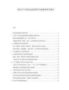 2025年中國(guó)花邊松緊帶市場(chǎng)調(diào)查研究報(bào)告