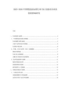 2025-2030中國漂洗添加劑行業(yè)ESG實踐對企業(yè)估值的影響研究