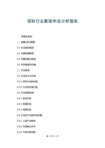 招標(biāo)行業(yè)影視作品分析報(bào)告
