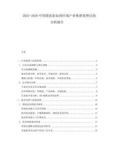 2025-2030中國漂洗添加劑區(qū)域產(chǎn)業(yè)集群優(yōu)勢比較分析報告
