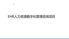 13-EHR人力資源數字化管理咨詢項目 86