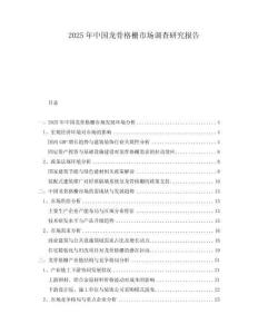 2025年中國龍骨格柵市場調查研究報告