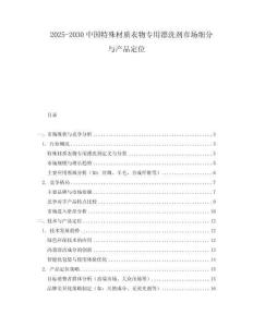 2025-2030中國特殊材質(zhì)衣物專用漂洗劑市場細(xì)分與產(chǎn)品定位