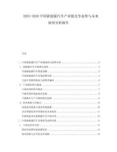 2025-2030中國新能源汽車產業鏈競爭態勢與未來展望分析報告