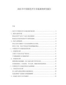 2025年中國(guó)彩色甲片市場(chǎng)調(diào)查研究報(bào)告