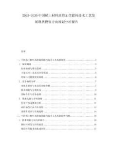 2025-2030中國稀土材料高附加值提純技術工藝發(fā)展現(xiàn)狀投資方向規(guī)劃分析報告