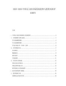 2025-2030中國(guó)無(wú)人機(jī)市場(chǎng)發(fā)展趨勢(shì)與投資風(fēng)險(xiǎn)評(píng)估報(bào)告