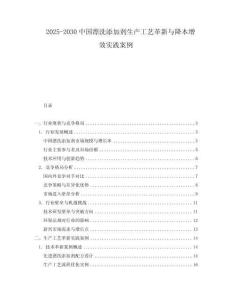 2025-2030中國漂洗添加劑生產(chǎn)工藝革新與降本增效實踐案例