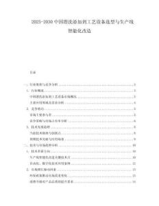2025-2030中國漂洗添加劑工藝設(shè)備選型與生產(chǎn)線智能化改造