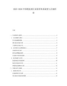 2025-2030中國漂洗劑行業監管體系演變與合規經營