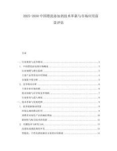 2025-2030中國漂洗添加劑技術(shù)革新與市場應(yīng)用前景評估
