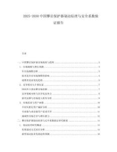 2025-2030中國攀巖保護器制動原理與安全系數(shù)驗證報告