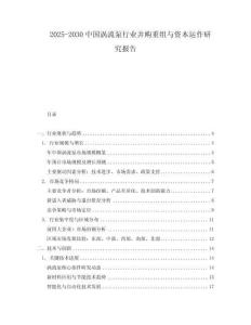 2025-2030中國渦流泵行業(yè)并購重組與資本運(yùn)作研究報告