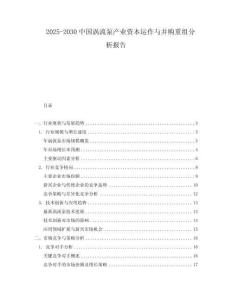 2025-2030中國渦流泵產(chǎn)業(yè)資本運(yùn)作與并購重組分析報告