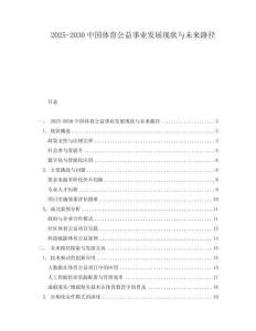 2025-2030中國體育公益事業發展現狀與未來路徑