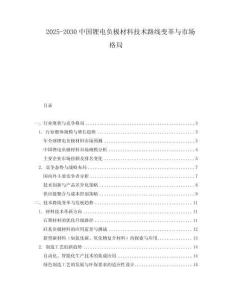 2025-2030中國鋰電負極材料技術路線變革與市場格局