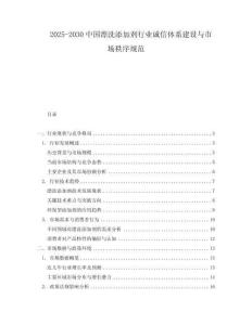 2025-2030中國漂洗添加劑行業(yè)誠信體系建設(shè)與市場秩序規(guī)范