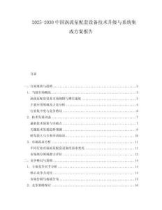 2025-2030中國渦流泵配套設備技術升級與系統集成方案報告