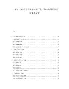 2025-2030中國漂洗添加劑行業(yè)產(chǎn)品生命周期及更新?lián)Q代分析