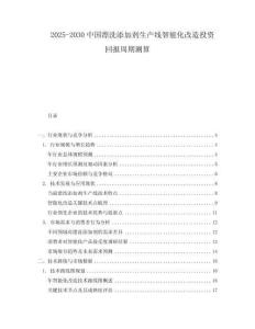 2025-2030中國漂洗添加劑生產(chǎn)線智能化改造投資回報周期測算