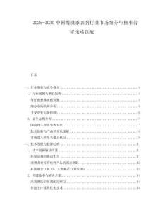 2025-2030中國漂洗添加劑行業(yè)市場細(xì)分與精準(zhǔn)營銷策略匹配