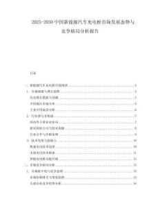 2025-2030中國新能源汽車充電樁市場發展態勢與競爭格局分析報告