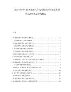 2025-2030中國(guó)新能源汽車電池回收產(chǎn)業(yè)鏈深度調(diào)研及戰(zhàn)略規(guī)劃研究報(bào)告