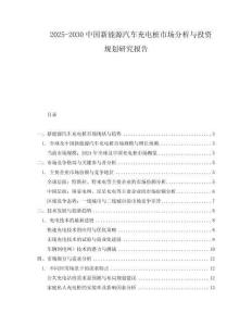 2025-2030中國(guó)新能源汽車充電樁市場(chǎng)分析與投資規(guī)劃研究報(bào)告