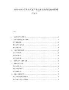 2025-2030中國渦流泵產業技術壁壘與突破路徑研究報告