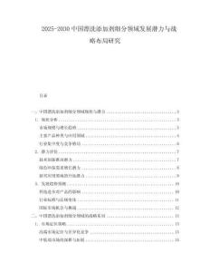 2025-2030中國(guó)漂洗添加劑細(xì)分領(lǐng)域發(fā)展?jié)摿εc戰(zhàn)略布局研究
