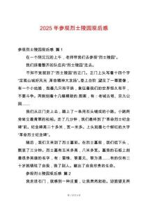 2025年參觀烈士陵園觀后感