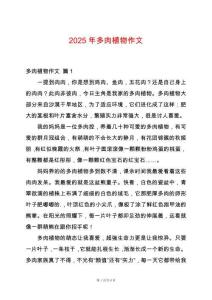 2025年多肉植物作文