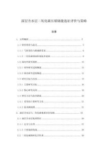 深層含水層二氧化碳壓縮儲能選址評價與策略