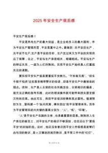 2025年安全生產(chǎn)觀后感