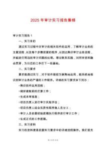 2025年審計(jì)實(shí)習(xí)報(bào)告集錦