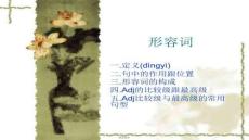 【英語(yǔ)四六級(jí)通關(guān)秘籍】形容詞講義