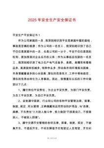 2025年安全生產(chǎn)安全保證書
