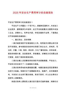 2025年安全生產(chǎn)費(fèi)用審計(jì)的自查報(bào)告