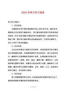 2025年審計(jì)實(shí)習(xí)報(bào)告