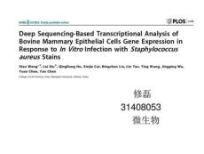 高級微生物課 論文講解圖文