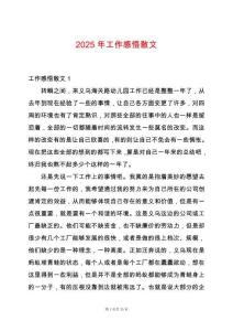 2025年工作感悟散文