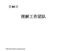第10章 理解工作團(tuán)隊(duì)44