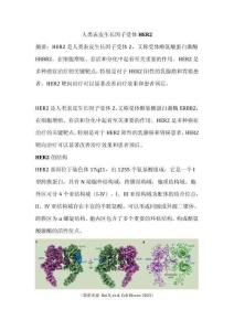 人類表皮生長因子受體HER2