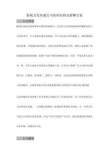 影視文化傳播公司組織結(jié)構(gòu)及薪酬方案