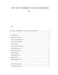 2025-2030中國(guó)氫能源汽車示范運(yùn)營(yíng)與加氫網(wǎng)絡(luò)布局