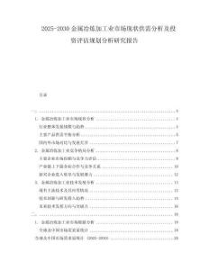 2025-2030金屬冶煉加工業市場現狀供需分析及投資評估規劃分析研究報告