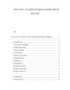 2025-2030工業互聯網平臺建設與企業數字化轉型路徑分析