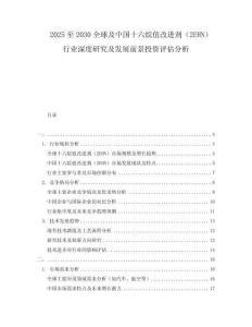 2025至2030全球及中國十六烷值改進(jìn)劑（2EHN）行業(yè)深度研究及發(fā)展前景投資評(píng)估分析