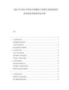 2025至2030自供電可穿戴電子皮膚行業深度研究及發展前景投資評估分析