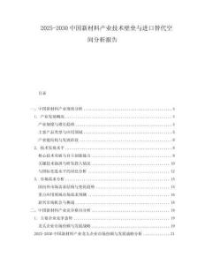 2025-2030中國新材料產(chǎn)業(yè)技術(shù)壁壘與進口替代空間分析報告